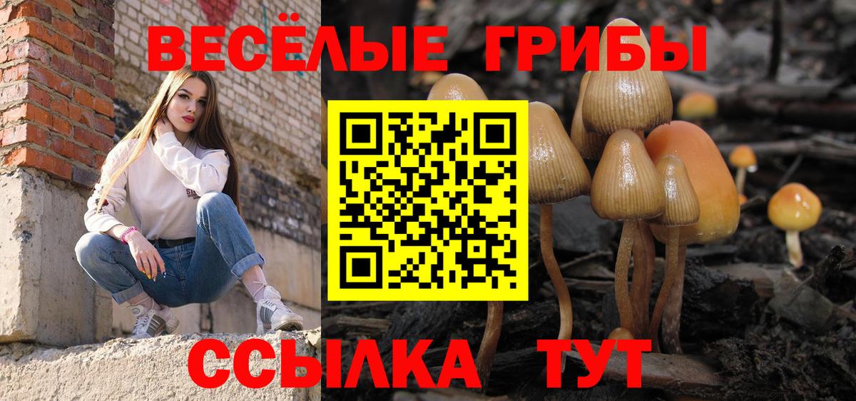 Бугуруслан  Псилоцибиновые грибы GOLDEN TEACHER  Вход с VPN  даркнет сайт  Галлюциногенные грибы Psilocybine cubensis 